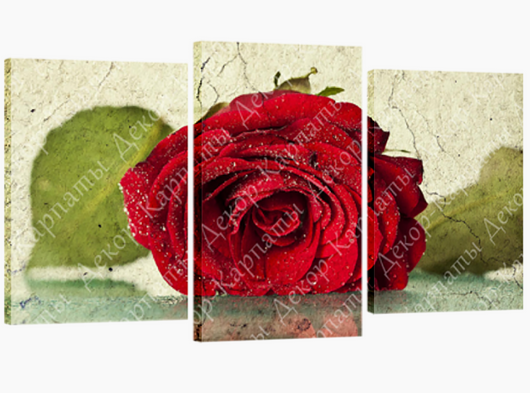 Картина модульна 3 частини Троянда 53 х 110 см