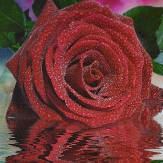 Фотошпалери звичайний папір Червона троянда 8 аркушів 196 см х 140 см