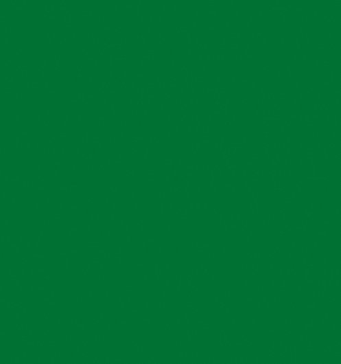 Самоклейка GEKKOFIX зелений глянець 0,45 х 15м (10041), Зелений, Зелена