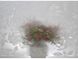 Самоклейка витражная D-C-Fix Матовые цветы прозрачный 0,675 х 1м, Белый, Белый