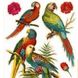 Наклейка декоративна Артдекор №39 Папуги