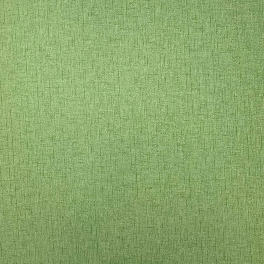 Обои виниловые на флизелиновой основе Erismann Paradisio 2 зелёный 0,53 х 10,05м (10140-07), Зелёный