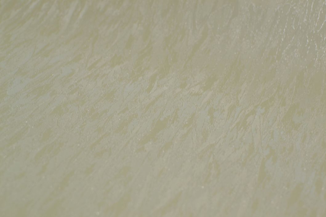 Шпалери вінілові на флізеліновій основі ArtGrand Bravo оливковий 1,06 х 10,05м (81132BR28)
