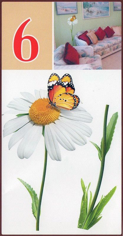 Наклейка декоративная АртДекор №6 Ромашка бабочка