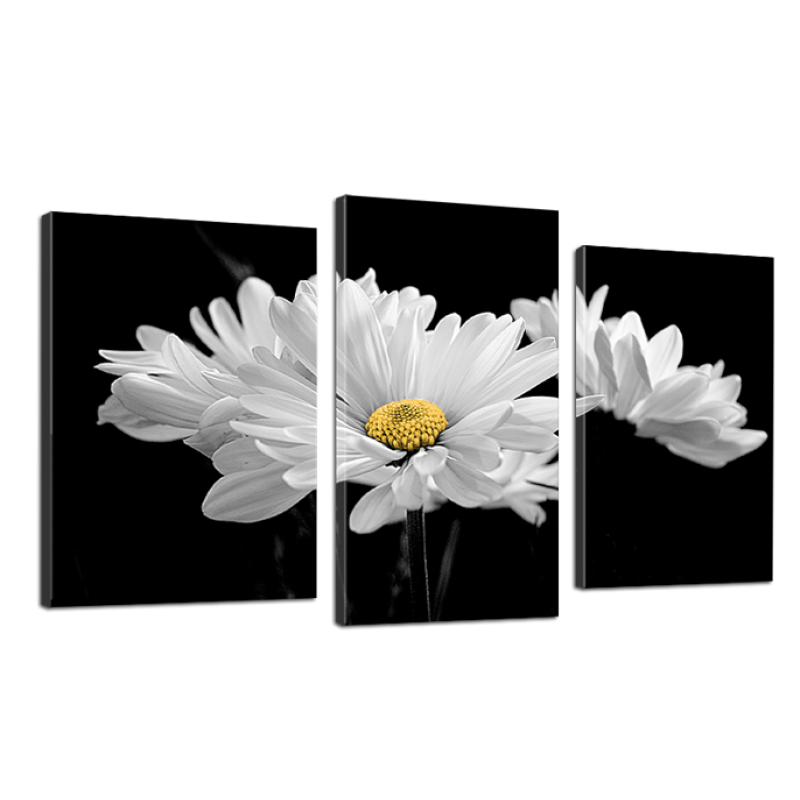 Модульная картина DK Place Белые цветы 3 части 53 x 100 см (530_3)