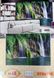 Фотошпалери щільний папір ПРЕСТИЖ №18 Лісовий водоспад 272 см х 196 см