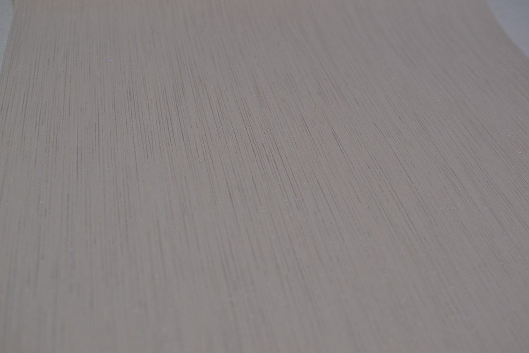 Обои виниловые на бумажной основе ArtGrand Bravo серый 0,53 х 10,05м (80594BR24)