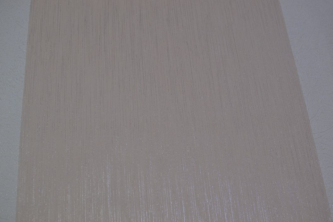 Шпалери вінілові на паперовій основі ArtGrand Bravo сірий 0,53 х 10,05м (80594BR24)