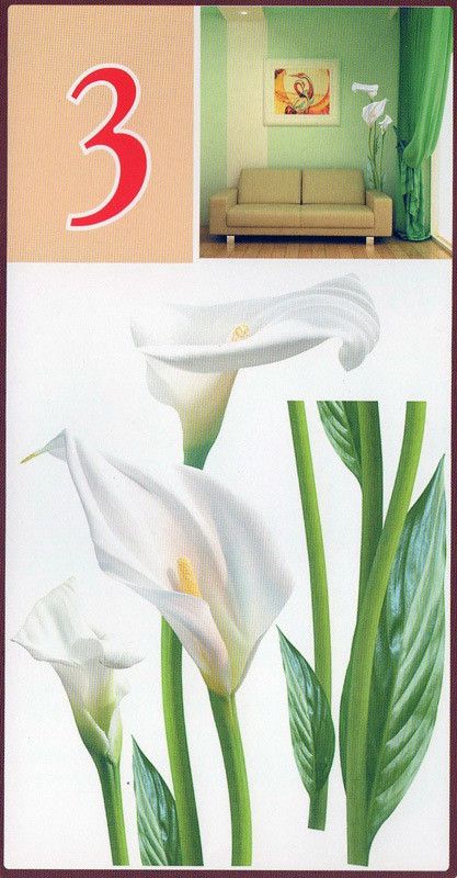 Наклейка декоративна Артдекор №3 Білі кали