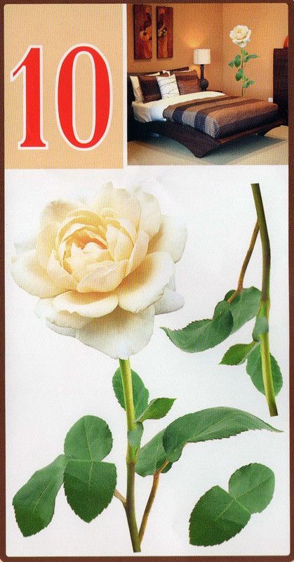 Наклейка декоративная АртДекор №10 Белая роза