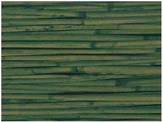 Самоклейка декоративная Hongda Бамбук зелёный полуглянец 0,675 х 15м, Зелёный, Зелёный