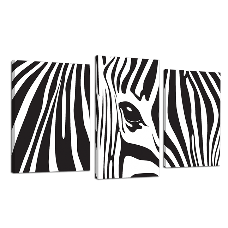 Модульная картина DK Place Жизнь как зебра 3 части 53 x 100 см (523_3)