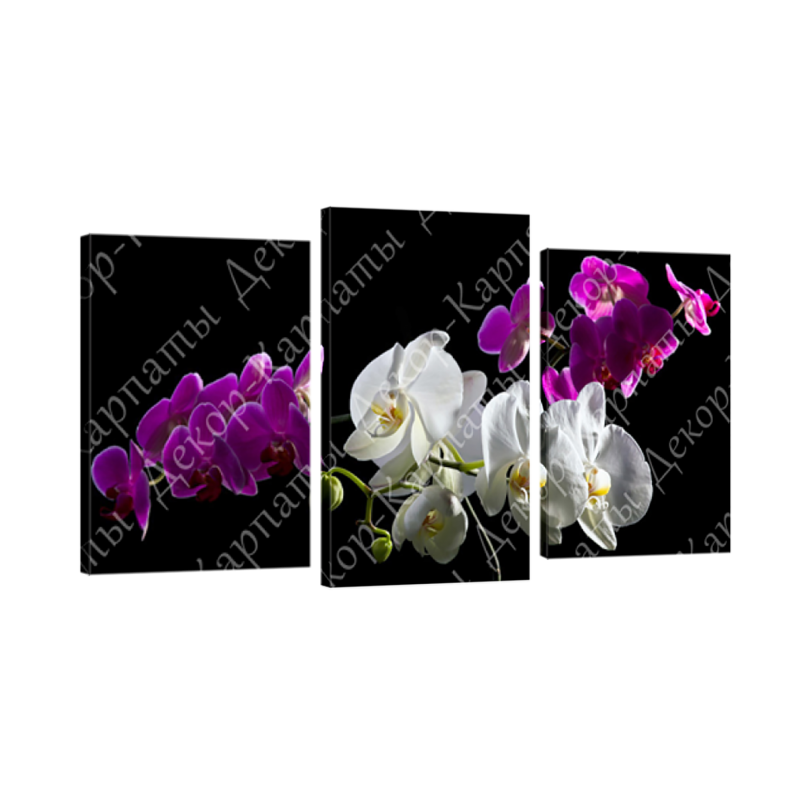 Картина модульная 3 части Орхидея 70 х 110 см