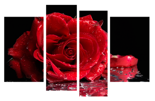 Картина модульная 4 части Красная роза 80 х 120 см