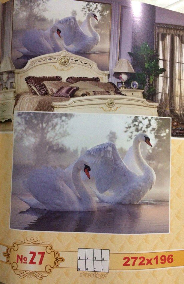 Фотообои плотная бумага ПРЕСТИЖ №27 Лебеди 272 см х 196 см