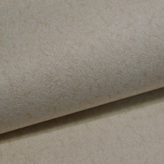 Обои дуплексные на бумажной основе бежевый 0,53 х 10,05м (2555 - 8)